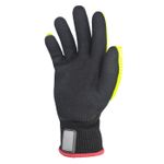 GuanteRigDogHonneywell